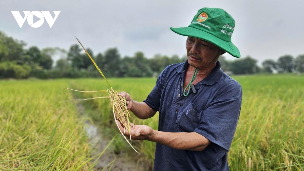 Tắc nghẽn địa chỉ hành chính mới, doanh nghiệp TP.HCM 'đứng ngồi không yên'